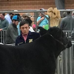 Meet your Posher, Bruce